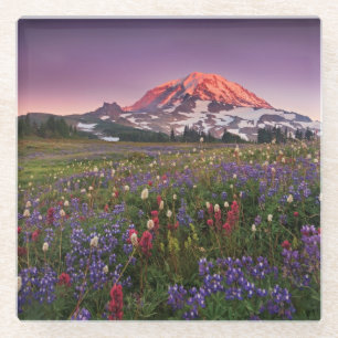 Dessous-de-verre En Verre Fleurs colorées en parc national plus pluvieux