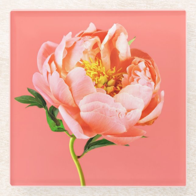 Dessous-de-verre En Verre Fleurs | Coral Peony Blossom (Devant)