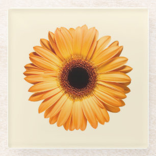 Dessous-de-verre En Verre Fleurs   Orange Gerbera
