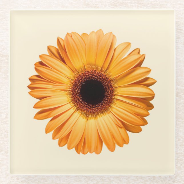 Dessous-de-verre En Verre Fleurs | Orange Gerbera (Devant)