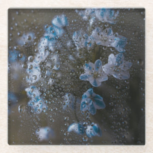 Dessous-de-verre En Verre Fleurs sombres et gouttes de pluie, esthétique som