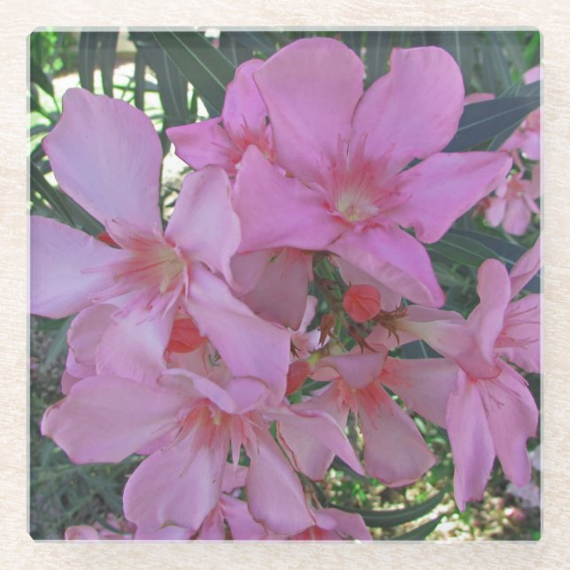 Dessous-de-verre En Verre Floral Pastel rose long fleur pétale florale (Devant)