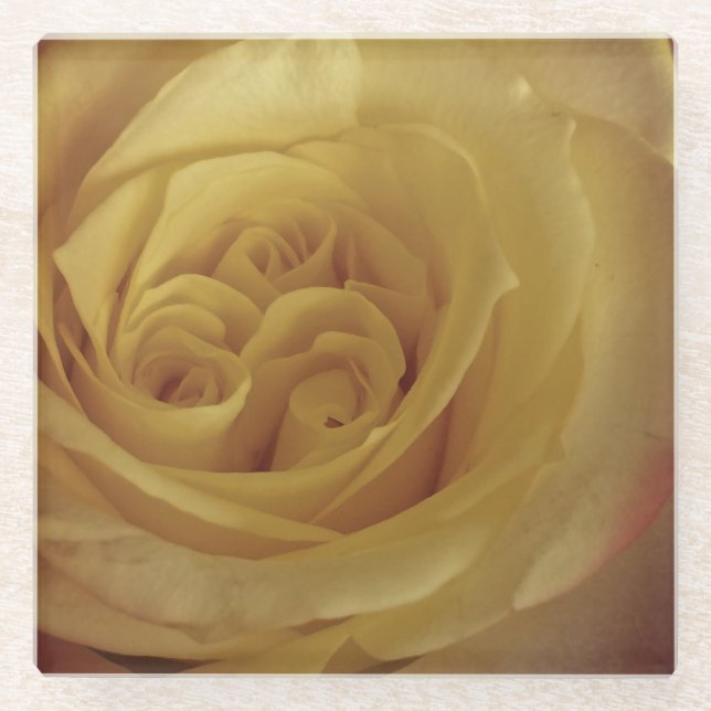 Dessous-de-verre En Verre Floral Rose Jaune Lumière Photo Belle Fleur (Devant)