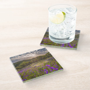 Dessous-de-verre En Verre Flowers (homonymie) Ordre d'Australie