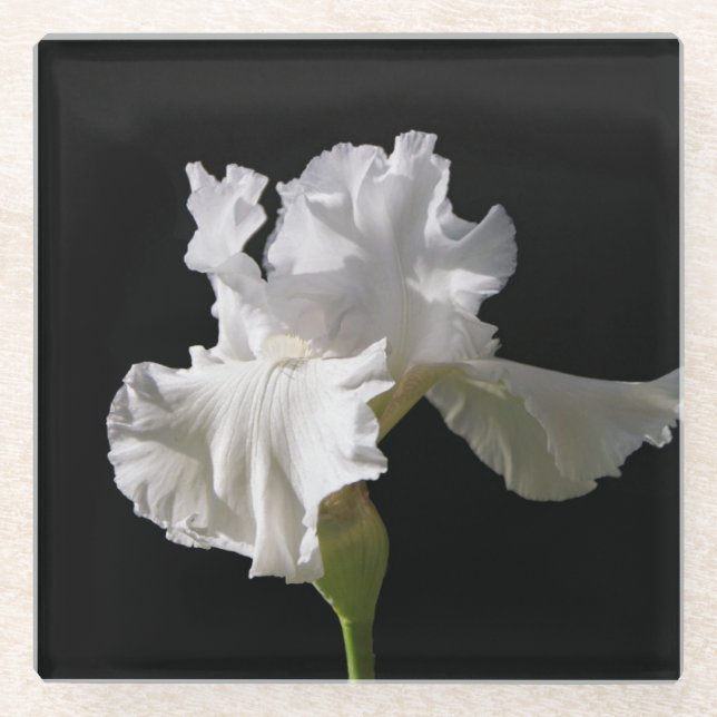 Dessous-de-verre En Verre Flowers | White Iris (Devant)