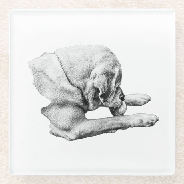 Dessous-de-verre En Verre Focus sur le jeu (Devant)