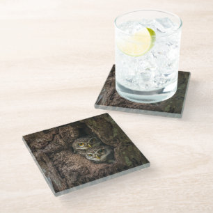 Dessous-de-verre En Verre Forests Two Owls Looking