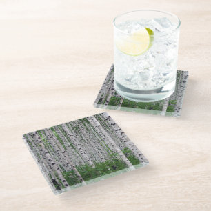 Dessous-de-verre En Verre Forêt de Birch Nature