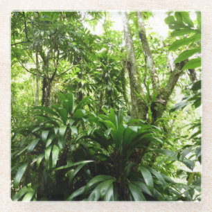 Dessous-de-verre En Verre Forêt de pluie dominicaine I Nature verte tropical