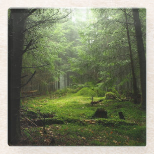 Dessous-de-verre En Verre Forêt de Sterious
