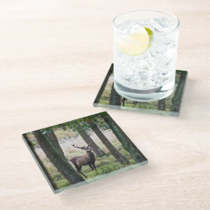 Dessous-de-verre En Verre Forêt Woodlands & Red Deer
