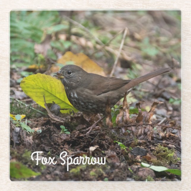 Dessous-de-verre En Verre Fox Sparrow (Devant)