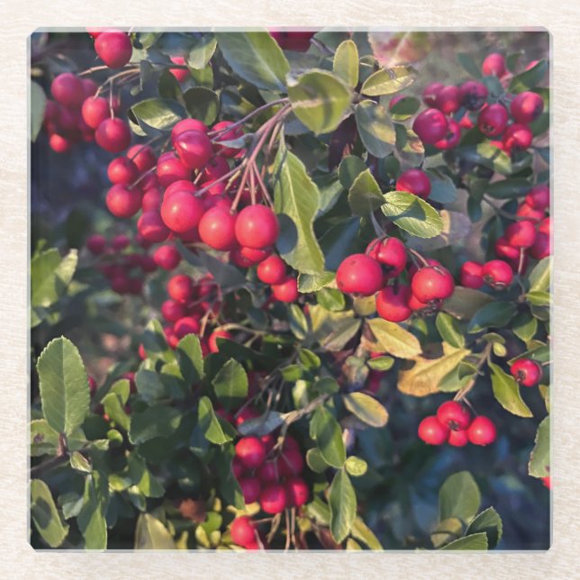 Dessous-de-verre En Verre Fruit d'automne (Devant)