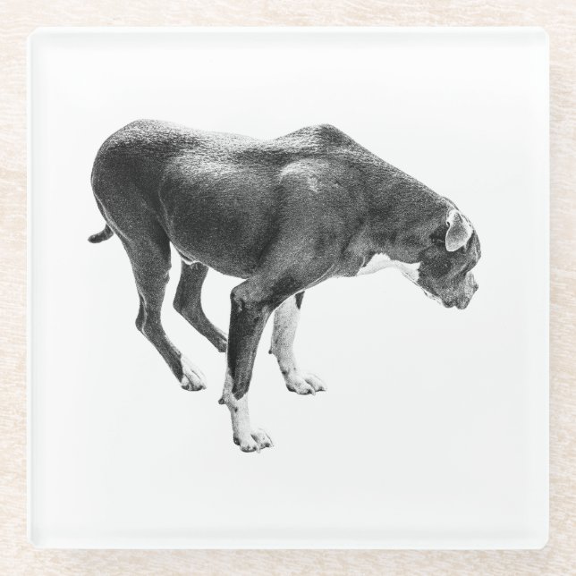 Dessous-de-verre En Verre Gardien de table d'automne (Devant)