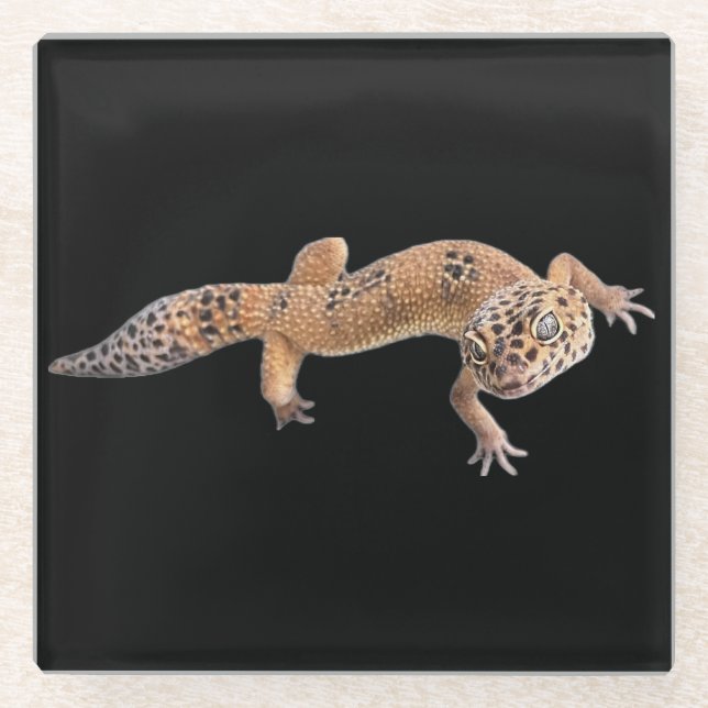 Dessous-de-verre En Verre  Gecko léopard  (Devant)