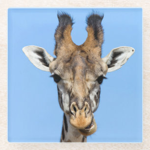 Dessous-de-verre En Verre Giraffe