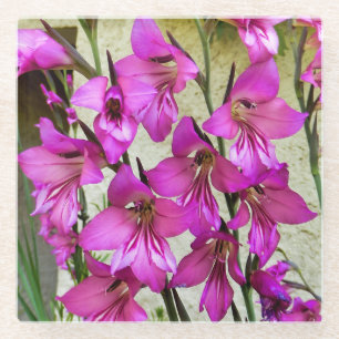 Dessous-de-verre En Verre Gladiolus byzantin