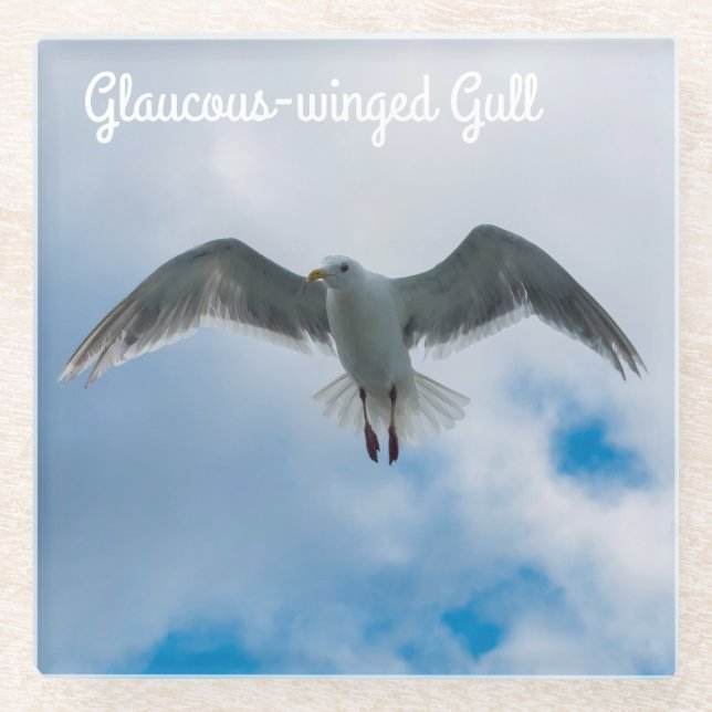 Dessous-de-verre En Verre Goéland à ailes glauques (Devant)