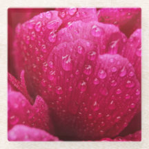 Gouttes de pluie sur la fleur de pivoine
