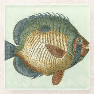 Dessous-de-verre En Verre Grand Poisson Coloré