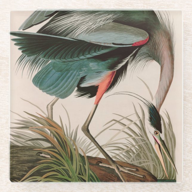 Dessous-de-verre En Verre Great Blue Heron Birds of America Audubon Imprimer (Devant)