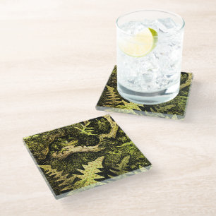 Dessous-de-verre En Verre Grenouille Art Nouveau hollandaise dans l'arbre