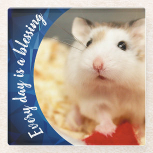 Dessous-de-verre En Verre Hammyville - Cute Robo Hamster