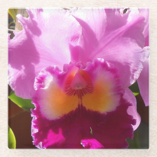 Dessous-de-verre En Verre Harlinde (Devant)