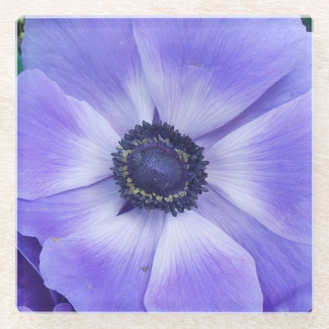 Dessous-de-verre En Verre Henrietta (Devant)