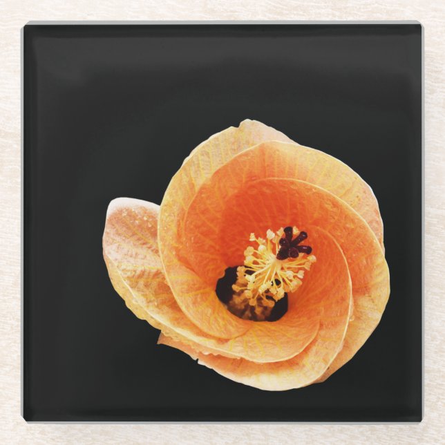 Dessous-de-verre En Verre Hibiscus (Devant)