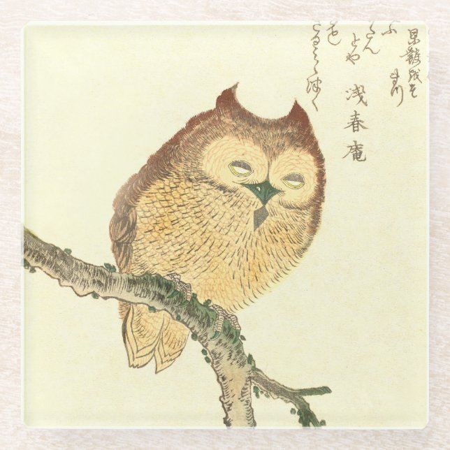 Dessous-de-verre En Verre Hibou sur des dessous de verre japonais en verre (Devant)