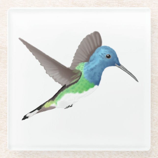 Dessous-de-verre En Verre Hovering Jacobin Hummingbird - transparent. (Devant)