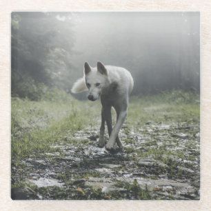 Dessous-de-verre En Verre Husky Sibérien Blanc