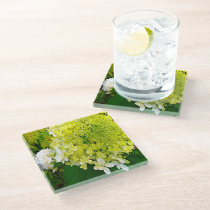 Dessous-de-verre En Verre Hydrangea Limelight Vert Chartreuse Élégant