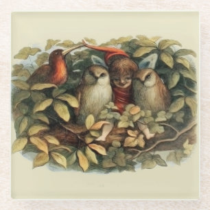 Dessous-de-verre En Verre Illustration de la nature des hiboux et des fées d