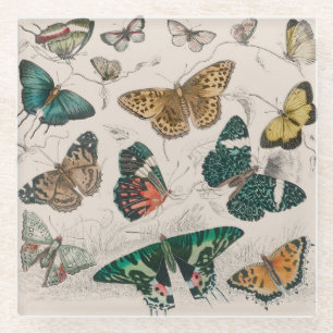 Dessous-de-verre En Verre Illustration de papillon antique : 1820 Orfèvre