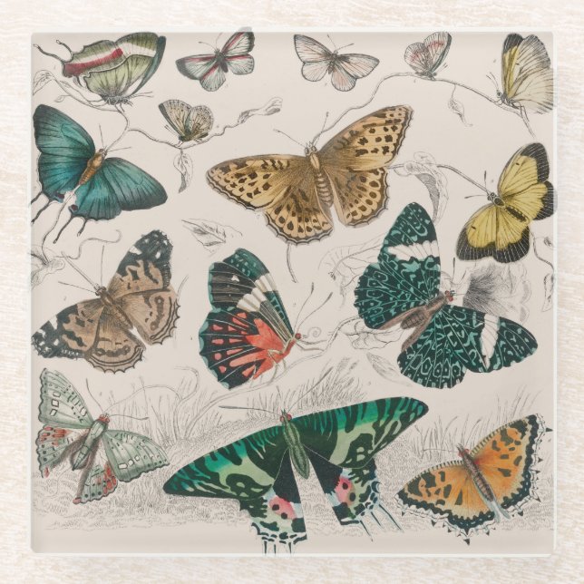 Dessous-de-verre En Verre Illustration de papillon antique : 1820 Orfèvre (Devant)
