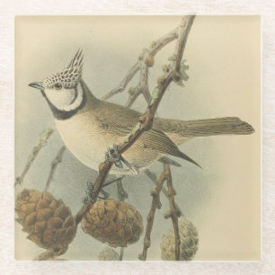 Dessous-de-verre En Verre Illustration vintage de Mésange huppée d'Europe