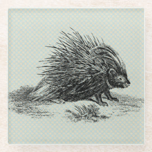 Dessous-de-verre En Verre Illustration vintage de Porcupine