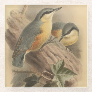 Dessous-de-verre En Verre Illustration vintage de sittelle
