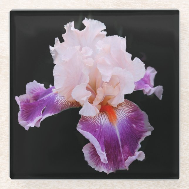 Dessous-de-verre En Verre Iris violet et rose (Devant)