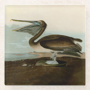 Dessous-de-verre En Verre John James Audubon Peinture Pélicane Brown