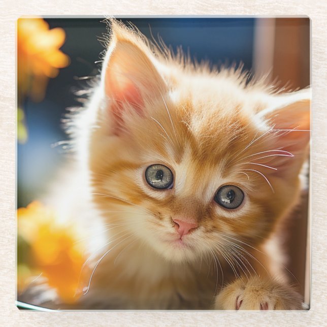 Dessous-de-verre En Verre Joli chaton tabby orange  (Devant)