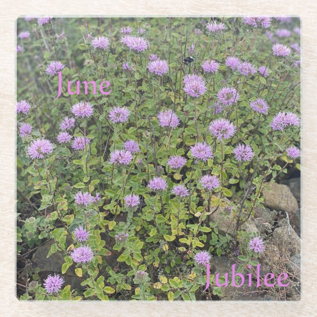 Dessous-de-verre En Verre Jubilé Jubilé Dessous de verre de verre (Devant)