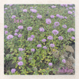 Dessous-de-verre En Verre Jubilé Jubilé Dessous de verre de verre