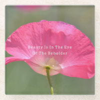 La beauté est Coquelicot d'Islande rose (photograp