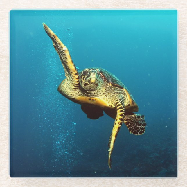 Dessous-de-verre En Verre La nage sous-marine des tortues de mer (Devant)