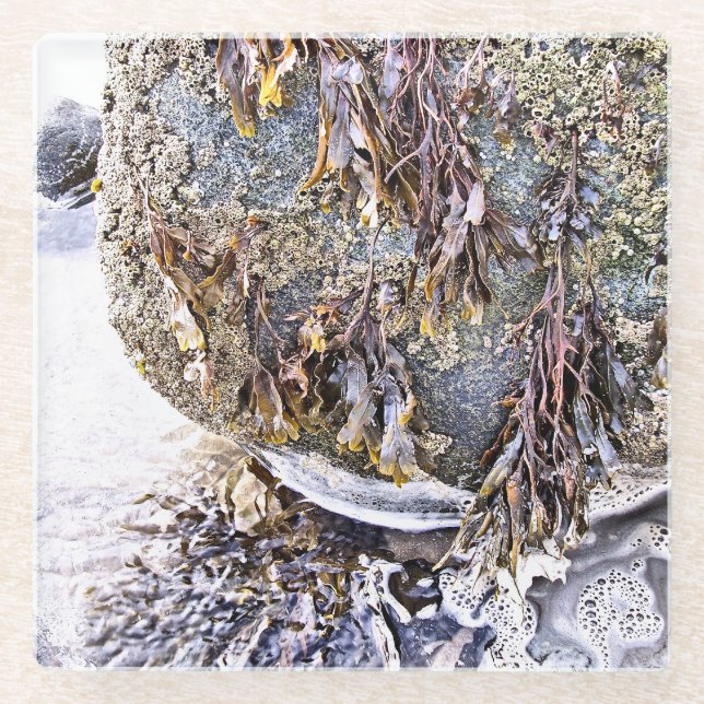 DESSOUS-DE-VERRE EN VERRE LA PLAGE (Devant)