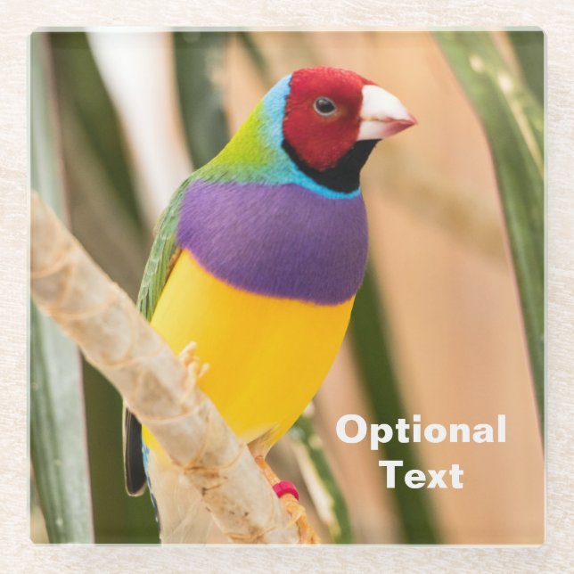 Dessous-de-verre En Verre Lady Gouldian Finch (Devant)