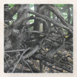 Dessous-de-verre En Verre L'amour d'un arbre tombé